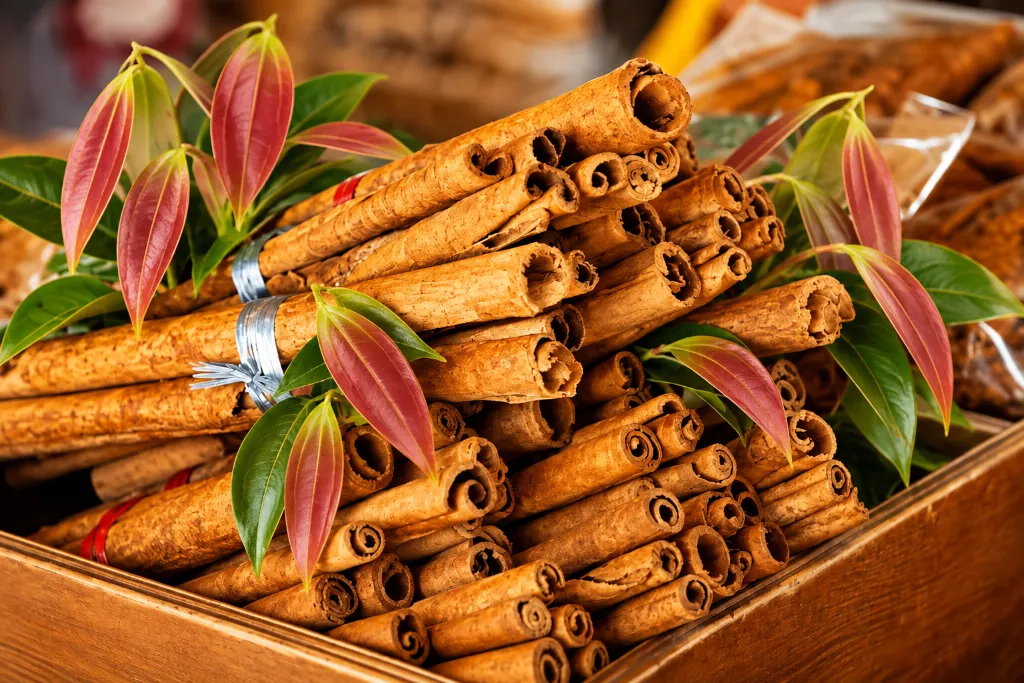 Premium Ceylon Cinnamon from Sri Lanka, carefully sourced and prepared for international export.
